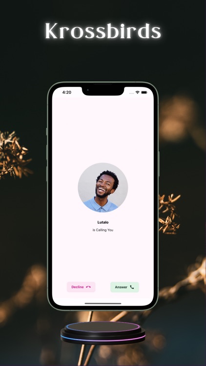 krossbirds screenshot-9