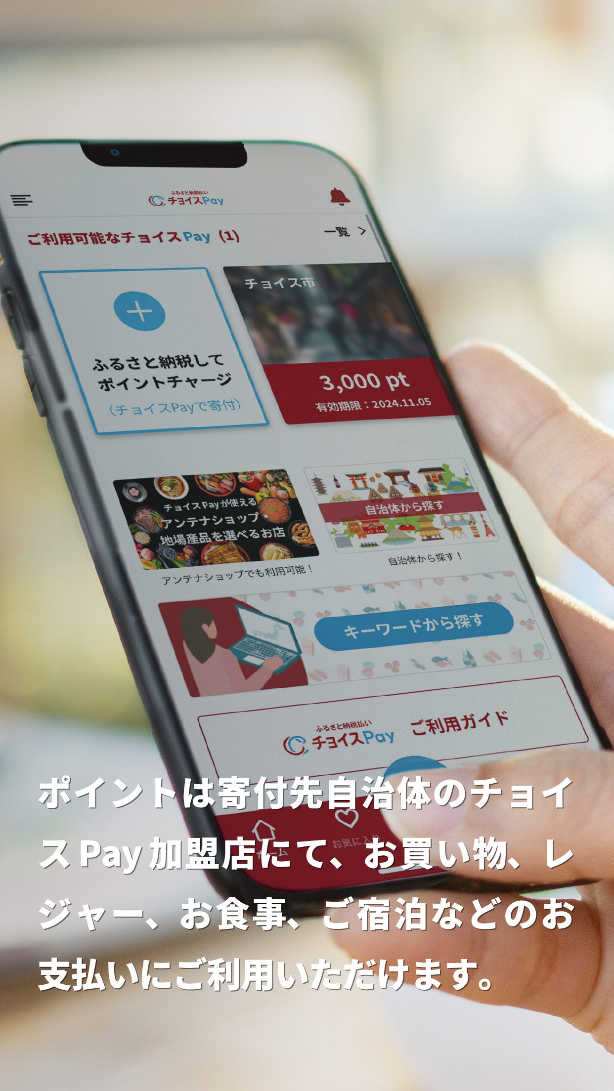 ふるさと納税払い チョイスPay