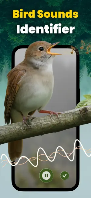 Bird Sound Identifier - Ornis screenshot 2