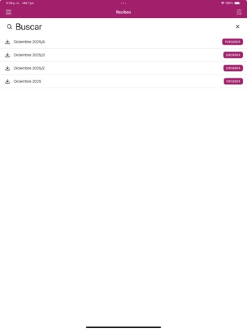 Recibo electrónico iPad screenshot