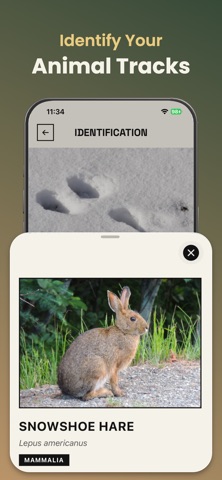 Animal Tracks Identifier: AI Screenshot 2 of 5