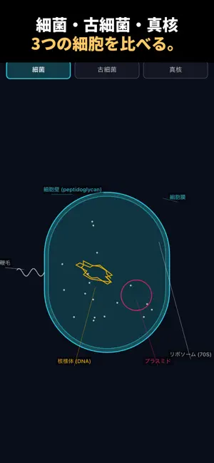 KINRAKU screenshot 2
