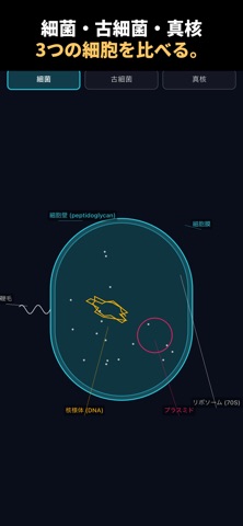 KINRAKU Screenshot 2 of 7