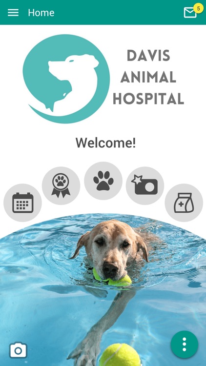 Davis Animal Hospital