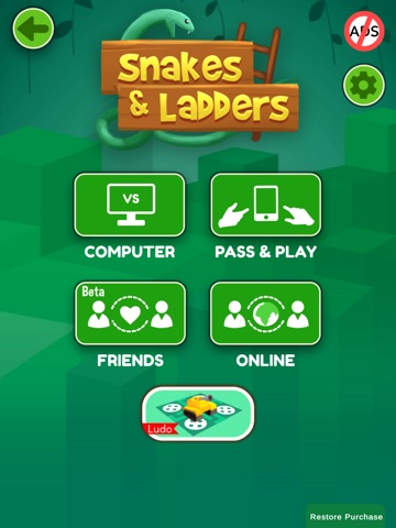 Snakes and Ladders Multiplayer iPad screenshot