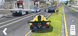 Car Driving Master:Police Race iPhone screenshot