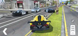Car Driving Master:Police Race screenshot 2