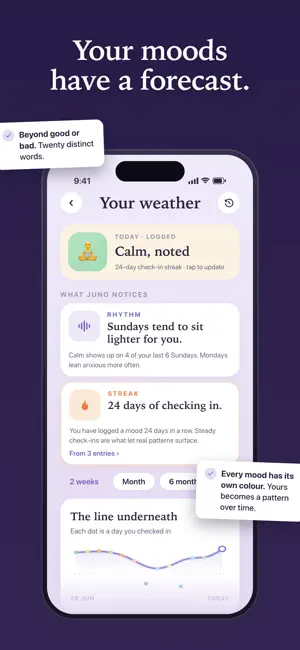 Juno: AI Journal, Mood Tracker screenshot 3