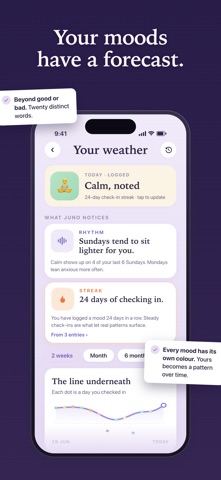 Juno: AI Journal, Mood Tracker screenshot