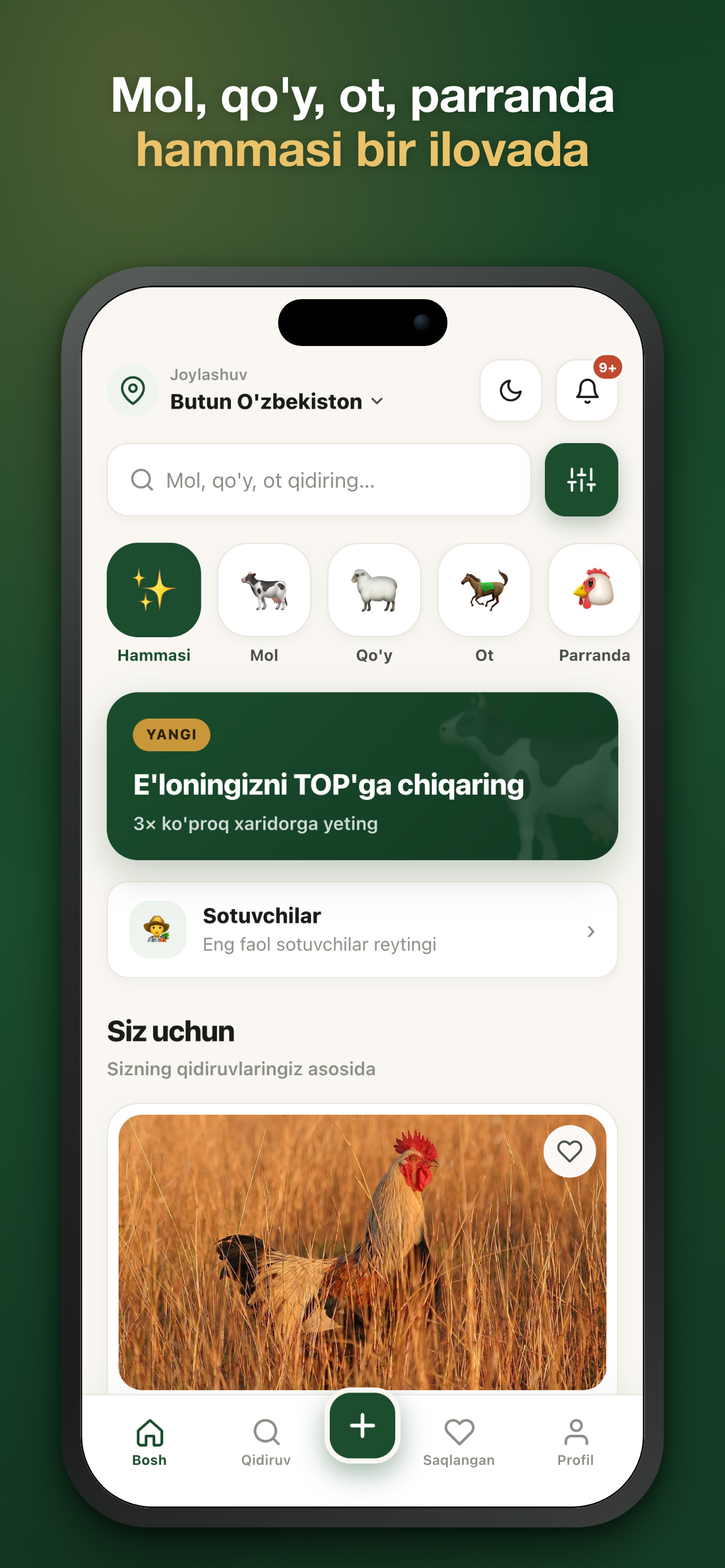 AlChorva screenshot 1