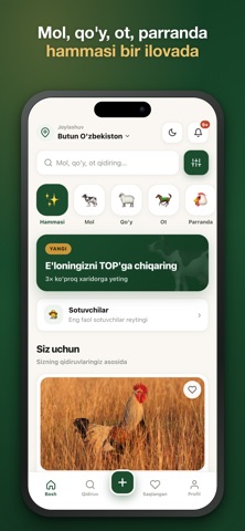 AlChorva screenshot