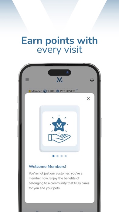 modernvet Screenshot