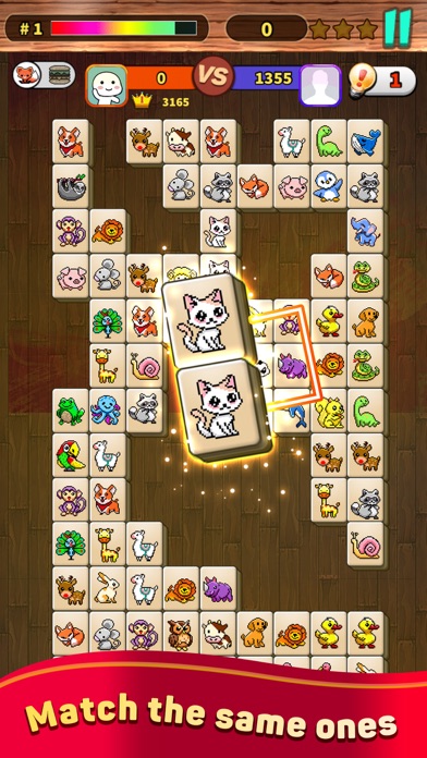 Onet X Connect Matched Animal Screenshot