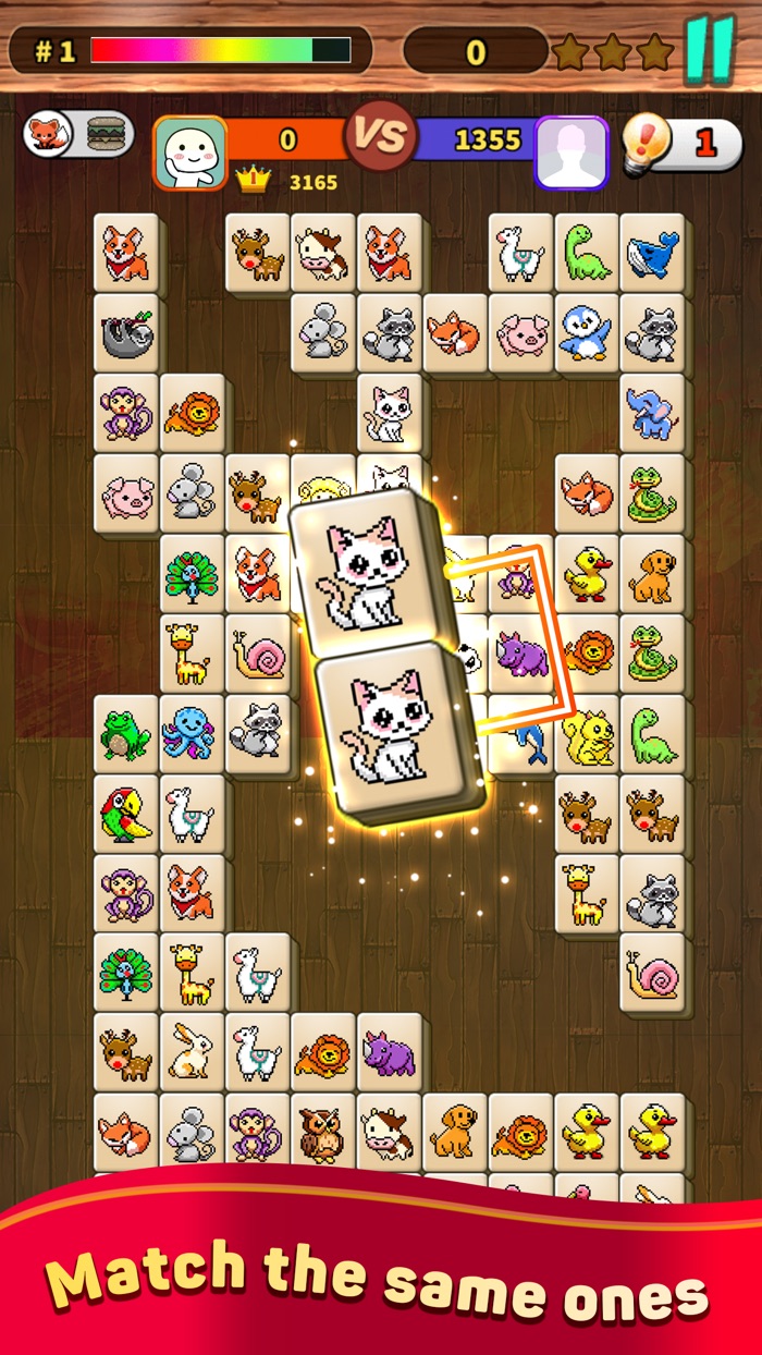 Onet X Connect Matched Animal