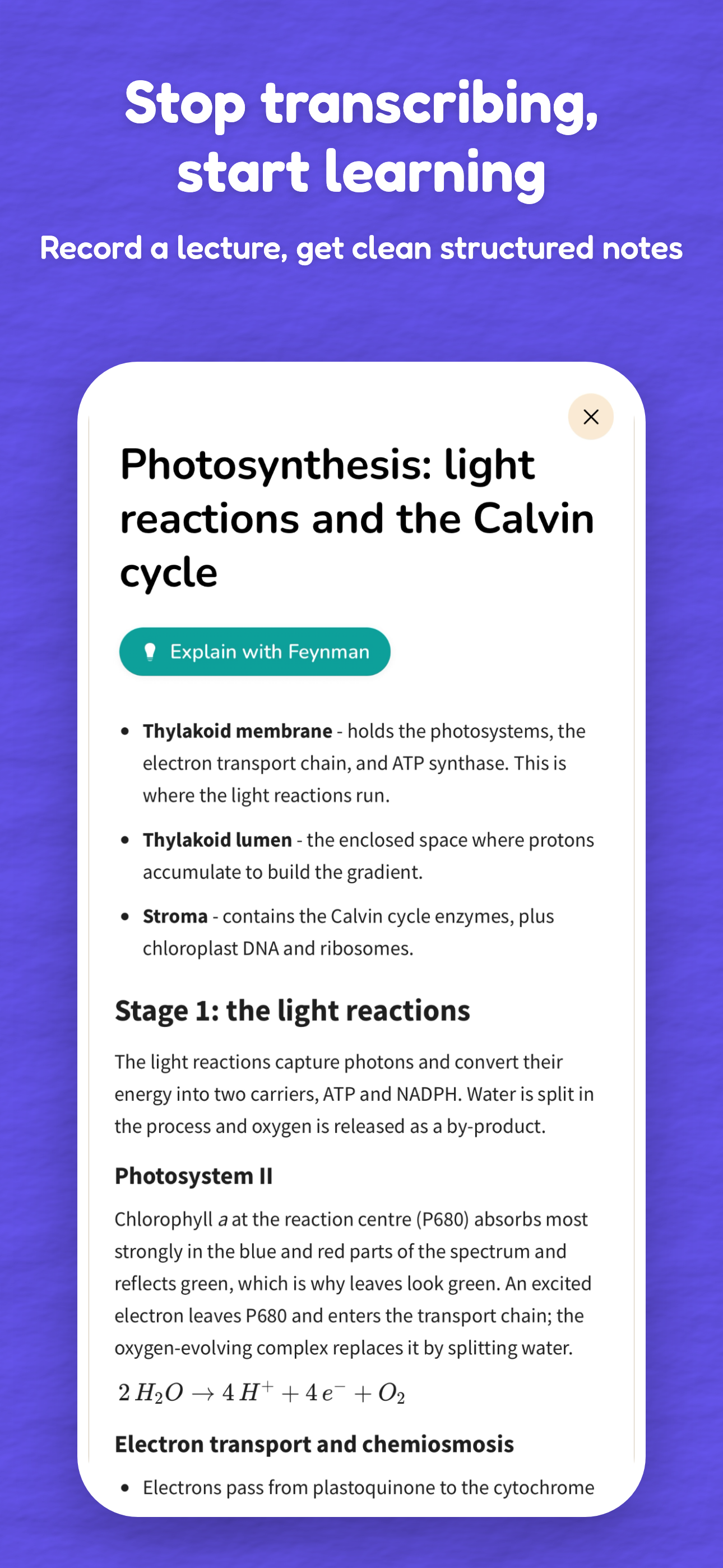 Ankra: AI Notes & Flashcards screenshot 2
