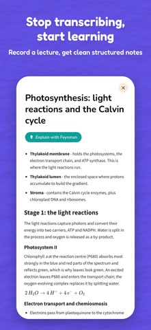 Ankra: AI Notes & Flashcards iPhone screenshot