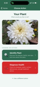 PlantZio Plant ID & Diagnosis screenshot