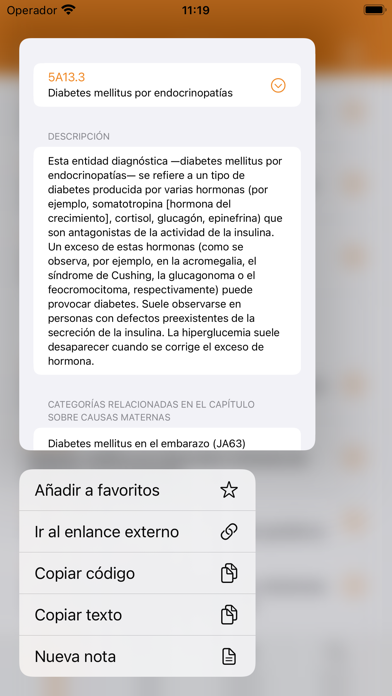 cie11 screenshot 6