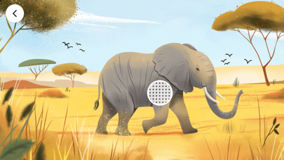 Animal Sounds : Baby Activity Screenshot