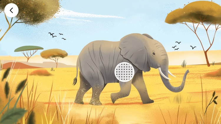 Animal Sounds : Baby Activity