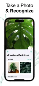 Plants Air - Plant Identifier screenshot #5 for iPhone