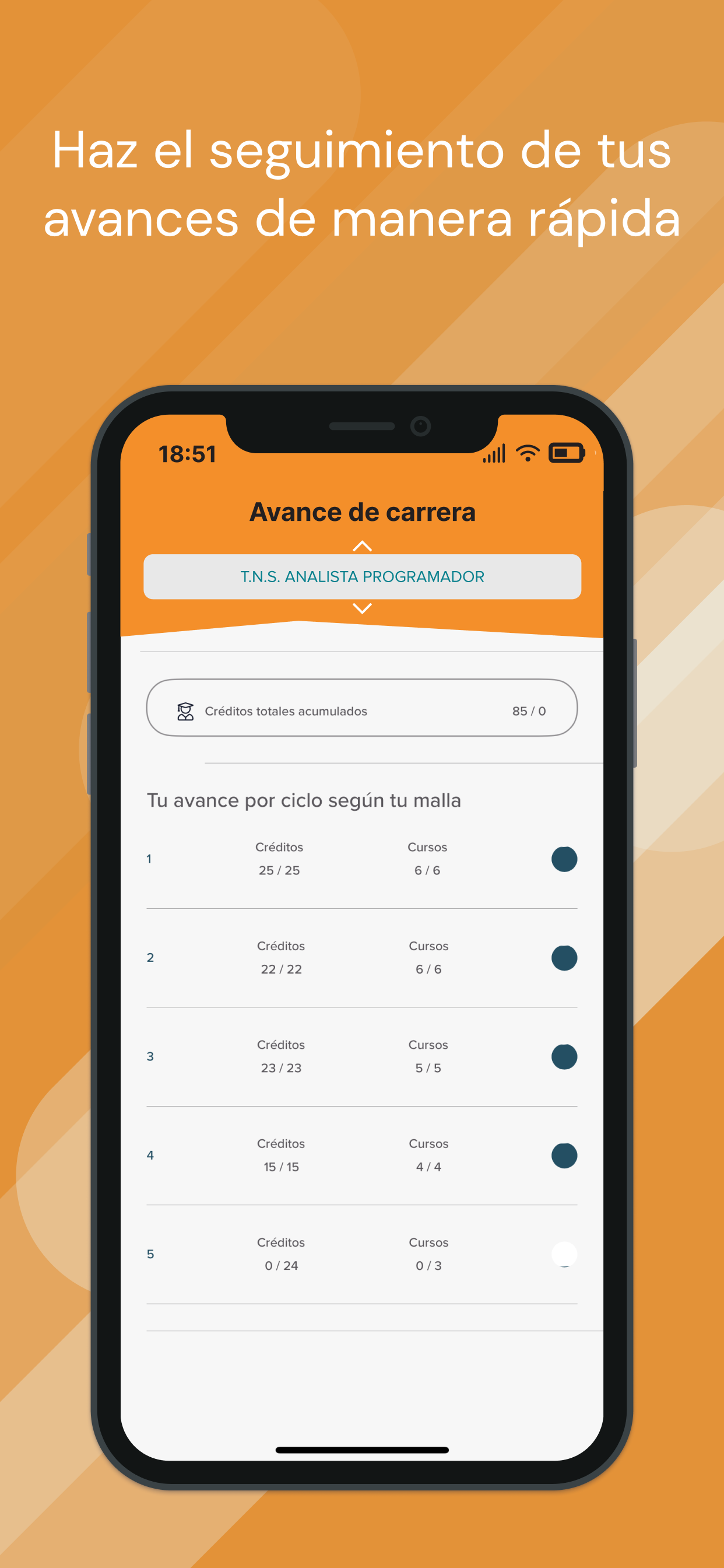 CFTAraucanía