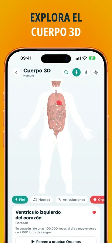 Anatomía: test de anatomía screenshot 3 of 9