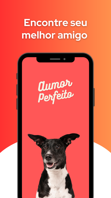 Aumor Perfeito Screenshot