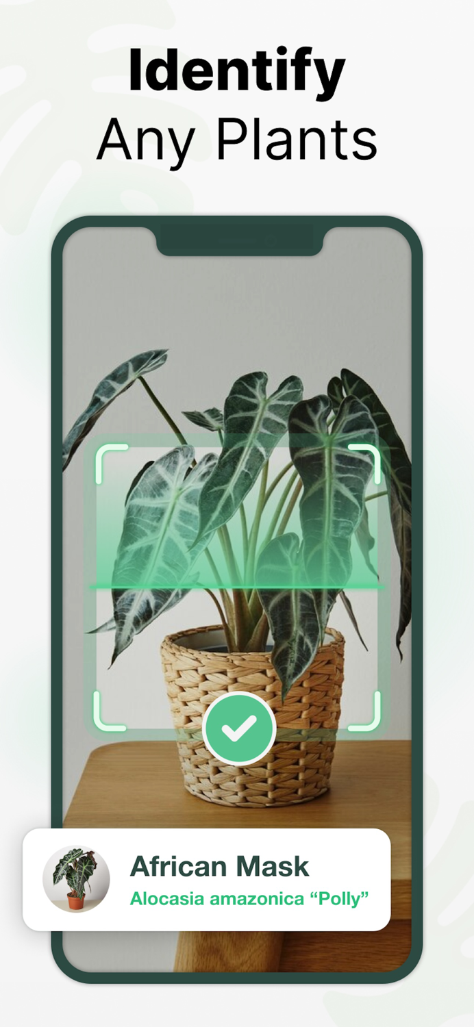 PlantGo Plant Identifier・Care
