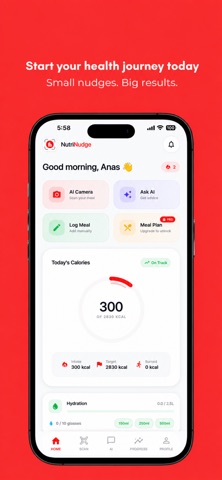 NutriNudge: AI Calorie Tracker Screenshot 1 of 8