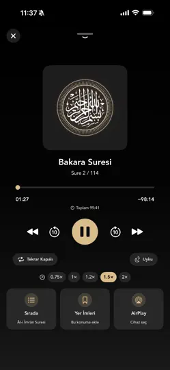 Kuran-ı Kerim Türkçe Meali iPhone Ekran Görüntüsü 2