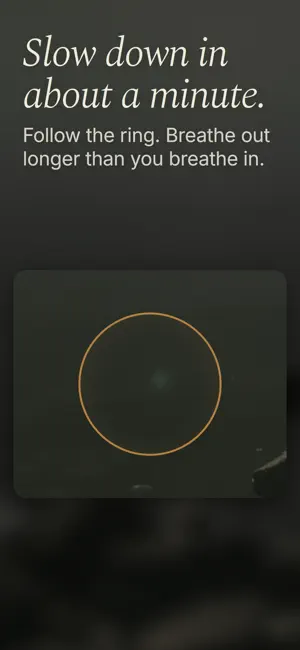 Whitespace: Meditation For You screenshot 4