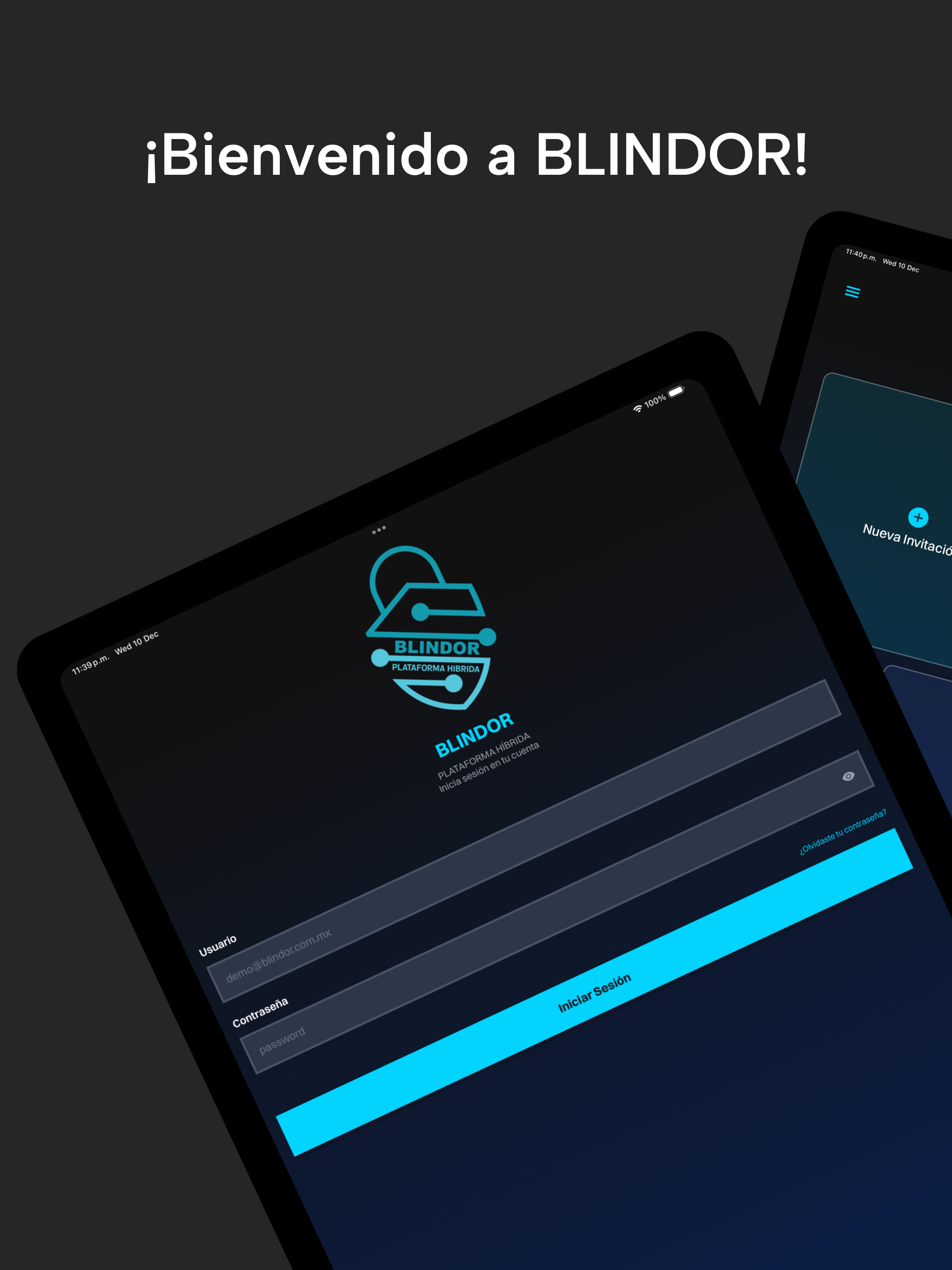 Blindor screenshot 6
