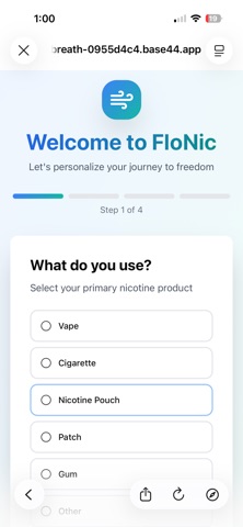 FloNic screenshot
