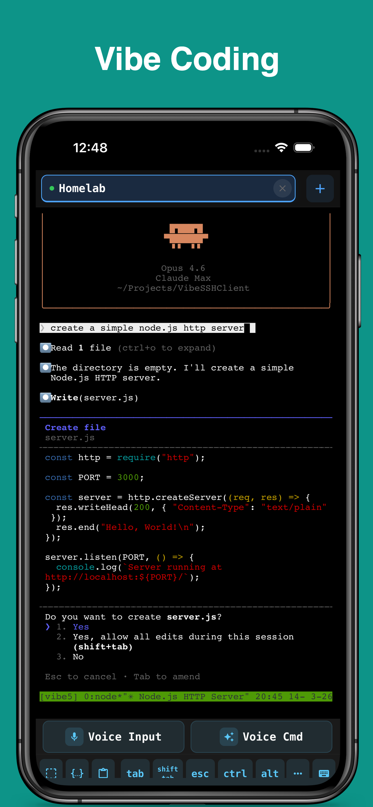 Vibe SSH Terminal screenshot 3