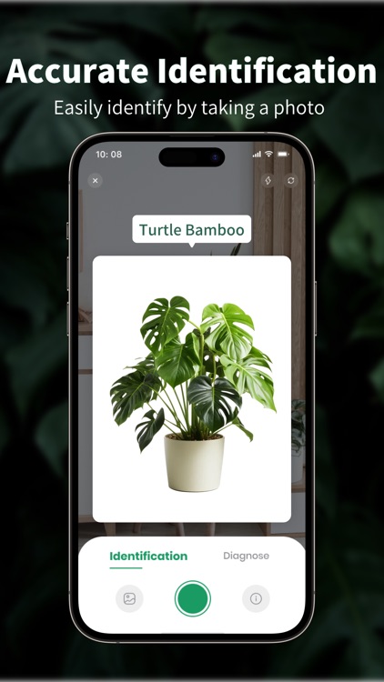 Talking Plant