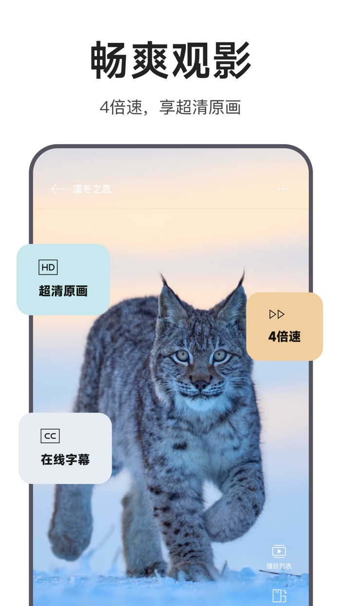 迅雷浏览器-主打纯净极简浏览