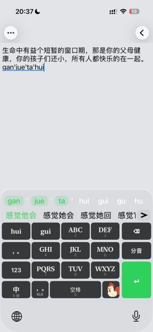 Gugu Pinyin - Private Engine Screenshot 2 of 5