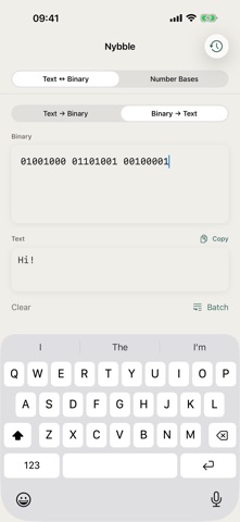 Binafy iPhone screenshot