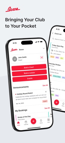 Bosse Pickledom screenshot