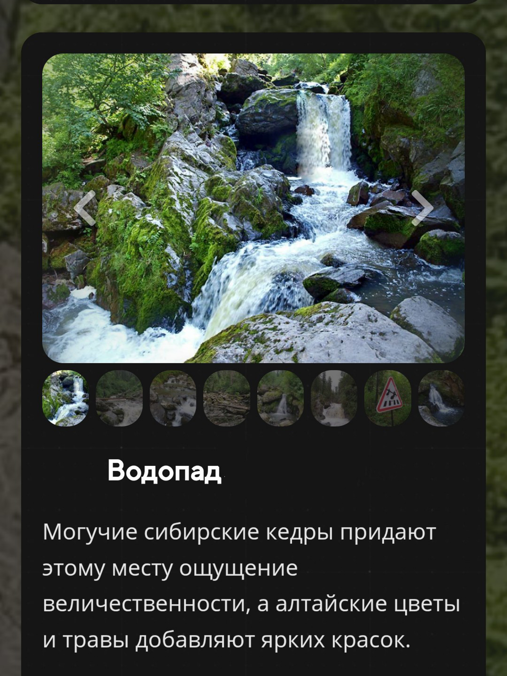Гид по Телецкому screenshot 10