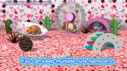 Play with your hamster Screenshot