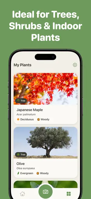 Tree Identifier by TreePic screenshot 4