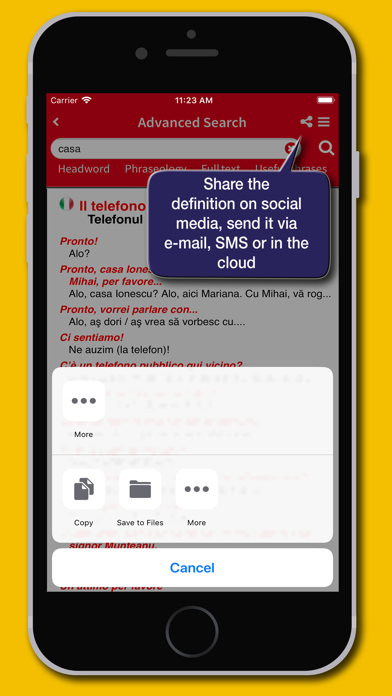 Romanian Dictionary Hoepli Screenshot