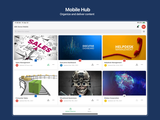 Qlik Analytics iPad screenshot 5 - Business app