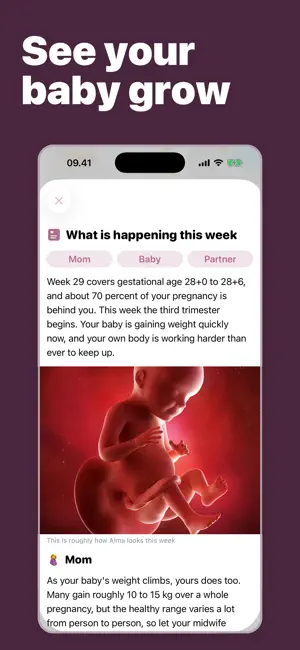 Pregnancy Tracker Countdown screenshot 2
