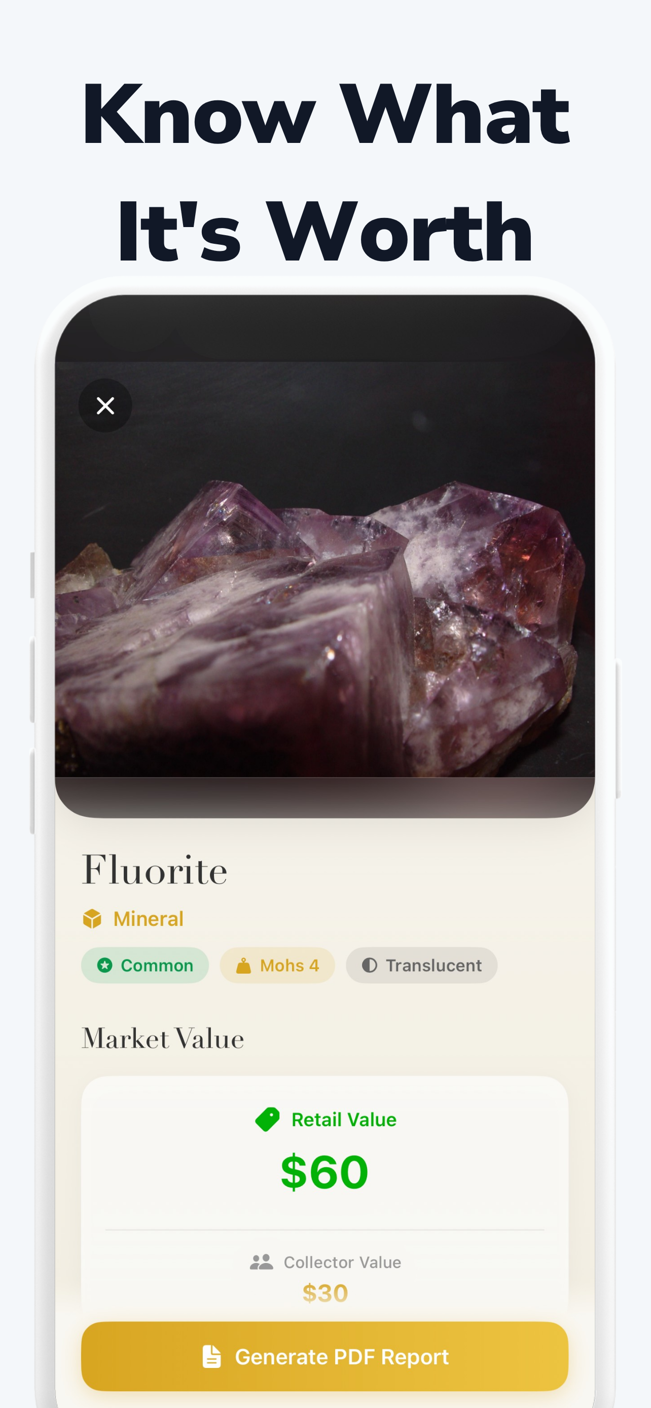 Fossil Scanner & Identifier screenshot 3