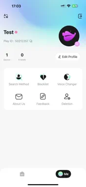 Lanmeier screenshot 3