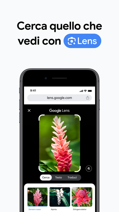 Google Chrome App Store preview screenshot 2