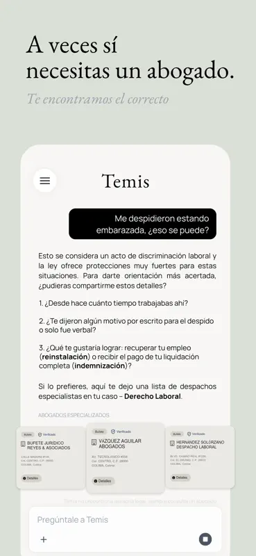 Temis AI screenshot 5 of 8